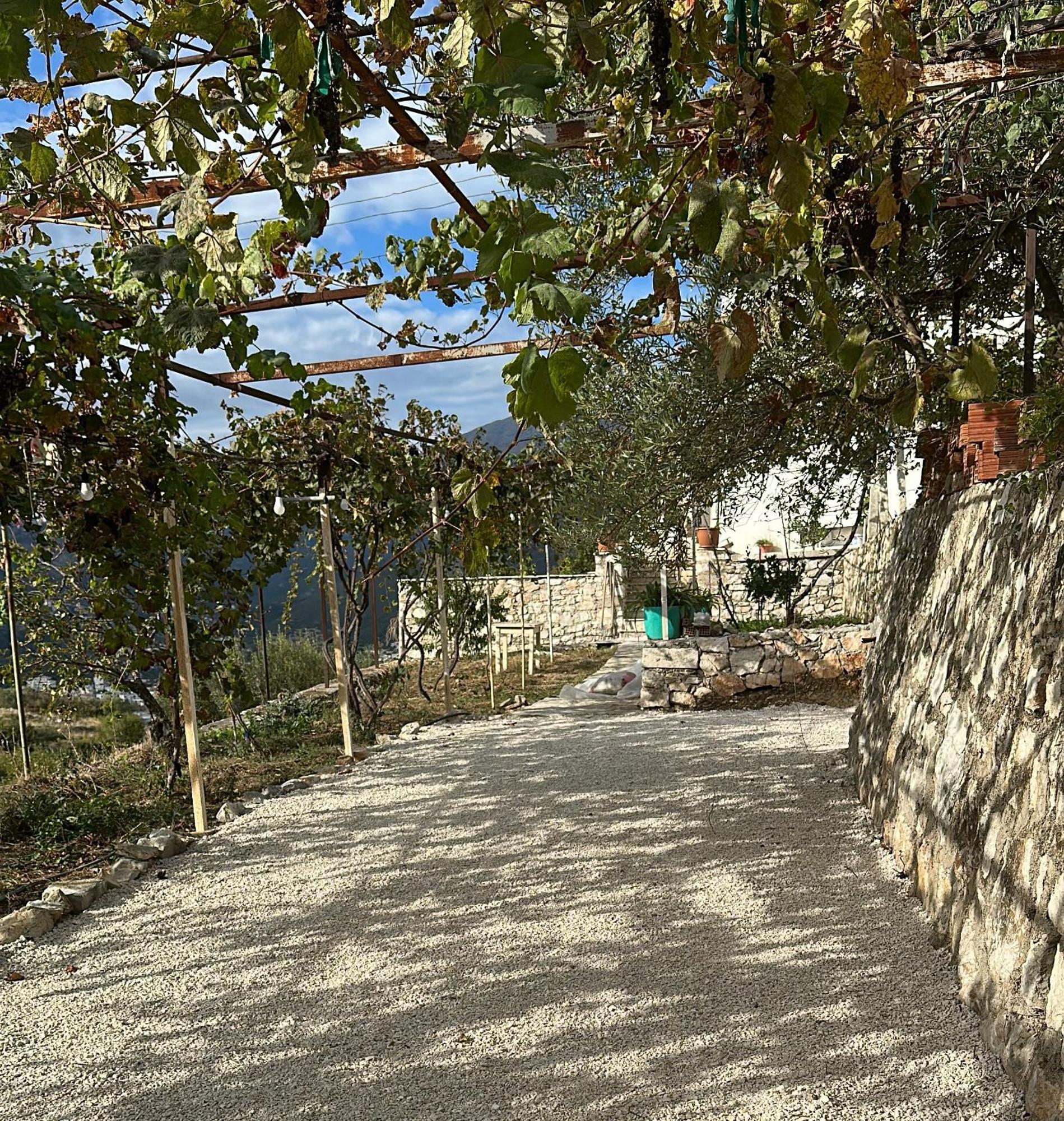 Hostel On The Hill - By Filikuri Beach 希马拉 外观 照片